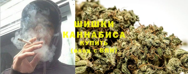 твердый Заводоуковск