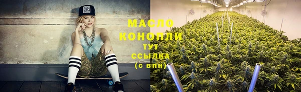 твердый Заводоуковск